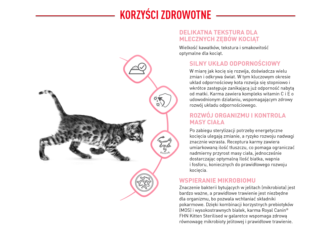 ROYAL CANIN Kitten Sterilised in gravy  12 x 85 g